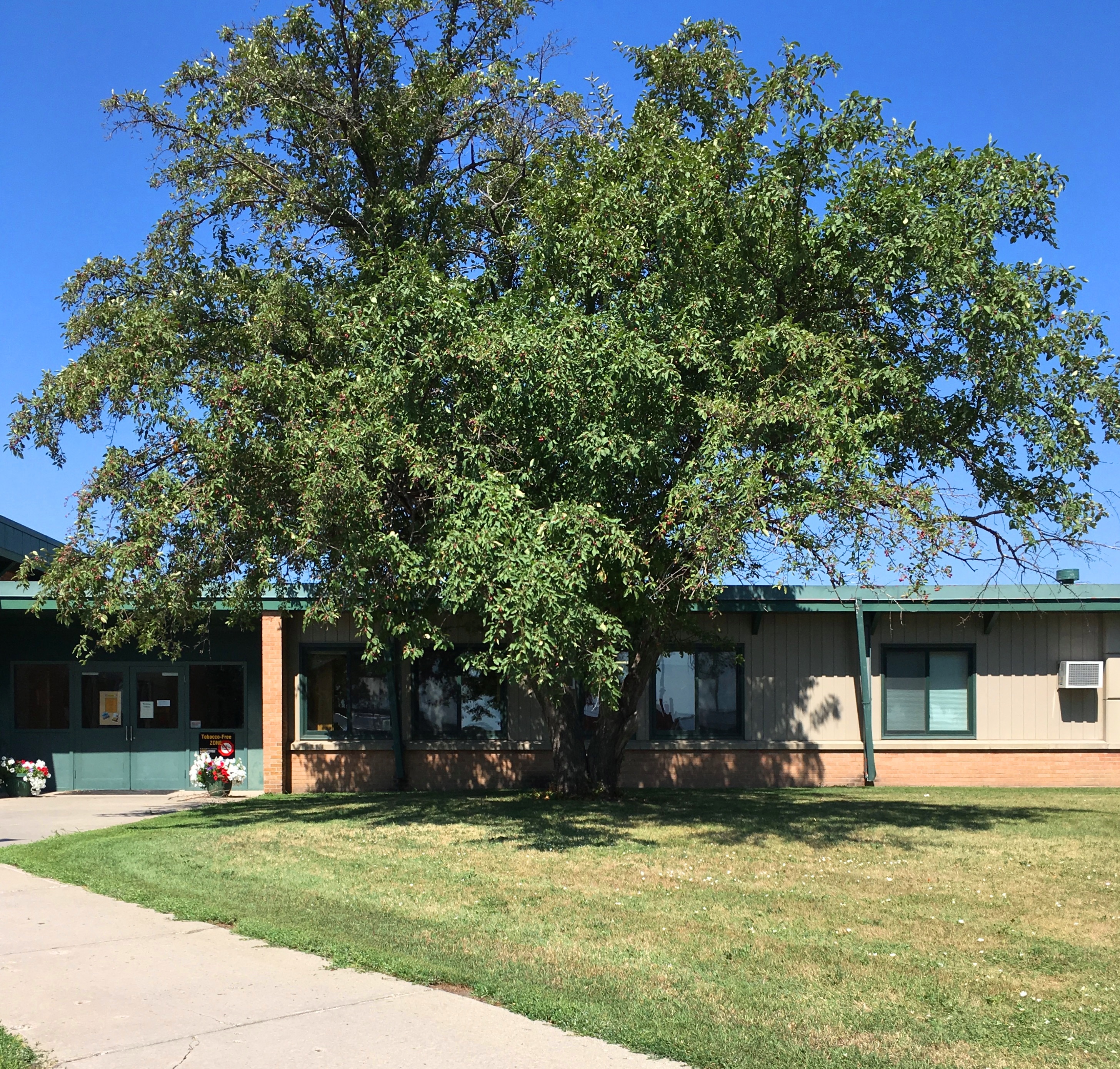 Peter J. Boe Elementary School